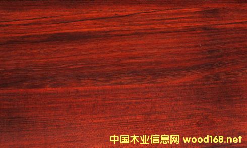 ���FӲľ�òļ�(x��)�����Fľ������̴���ă�(y��u)ȱ�c