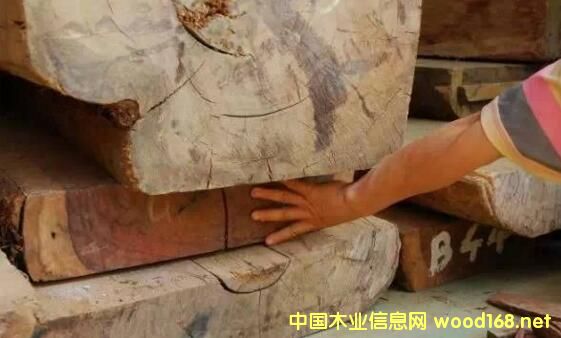 ��t��֦ԭ���Q(m��o)�����Rȫ���ֹ?