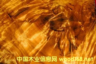 �����z�ľ����ǧ�fһ������2�fһ���]��Ҫ