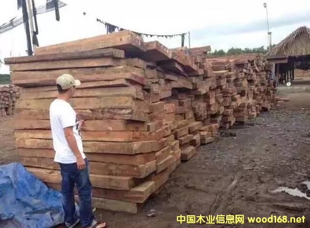 ����ľ���ꌢ�oľ�������tľ�Ј�(ch��ng)����Ч��(y��ng)�_ʼ��