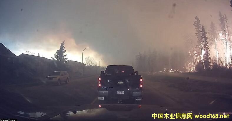 ���ô�ɭ�ִ�����Fɼ�����ɕ�(hu��)�q�r(ji��)����