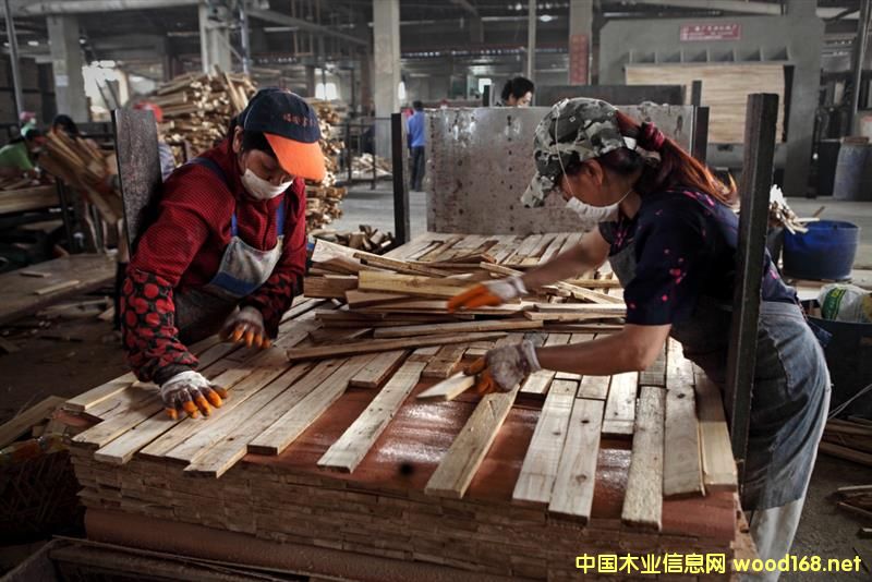 ���ҽ縻����ľ�I(y��)��������ʣľ���_5�f������