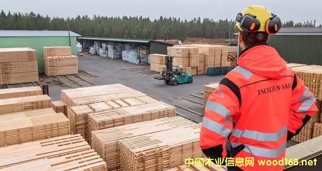 ���m���ľ�I(y��):���H�I(y��)��(w��)�UѸ�������E��ʲô��