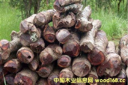 ���޲ļ������S�ݡ� ���������󣬌��ȁ���ٝ�ȁ����^��ֹԭľ��