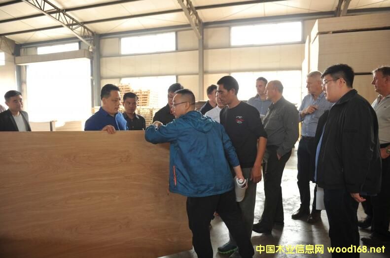 �R�ʸ��R��ľ�I(y��)�����L(zh��ng)������W�޴���F(tu��n)��B��˾��(y��u)��(sh��)