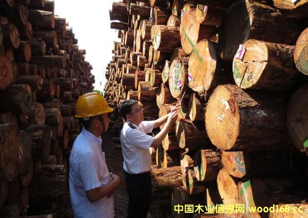 �M��ľ�ęz���Ј��_����ģʽ �|�������ƄӰl(f��)չ