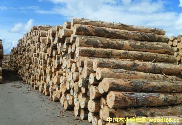 ԭľ����(y��ng)���� �������ľ�ļӹ��S(ch��ng)���R�ÆT