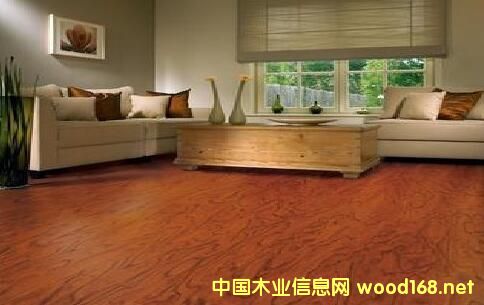 ľ�ذ���I(y��)̽���l(f��)չ����:��(g��)�Ի����¹������P(gu��n)ע