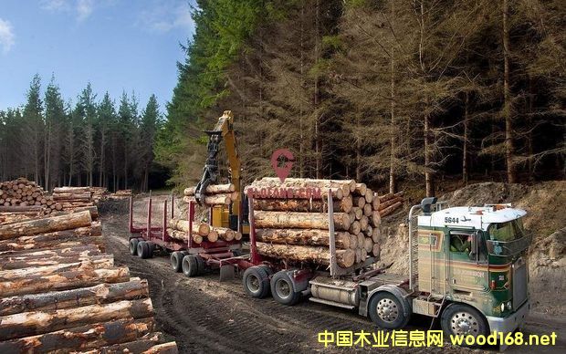 �����mԭľ���ڃr(ji��)���ѵ���8��(g��)���ԁ�(l��i)������c(di��n)