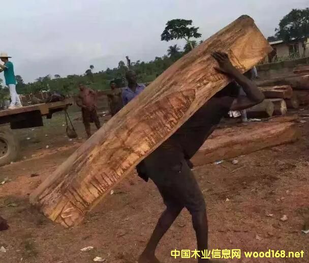 CITES���9.24���_�������������h�����̴��������lΣ