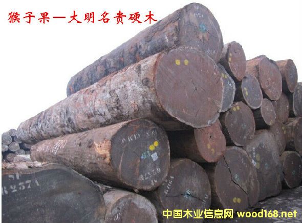 ���ӹ�ľ  �׷Q����������ʥ��ľ���t���ҡ�����Գ�ӹ�ľ