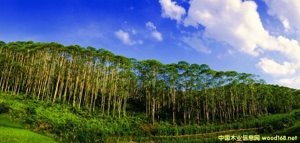 �������˹���׌�z�ϰ����a(ch��n)����һ��(g��)�_(t��i)