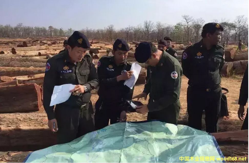 ����կ�ɼ����Y��˾����� ���@����������ľ��