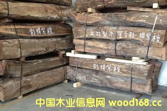 ���T�ķN�����̴��؛�����п�