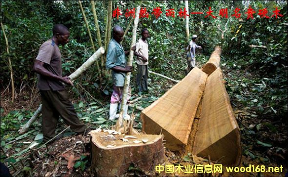 ľ�Ę�NԔ��--���������  �׷Q����ʿ��ľ