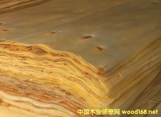 ����h�����I(y��)ӭ�����ڶ����� �Ą����a��Ҏ(gu��)���Ƥ