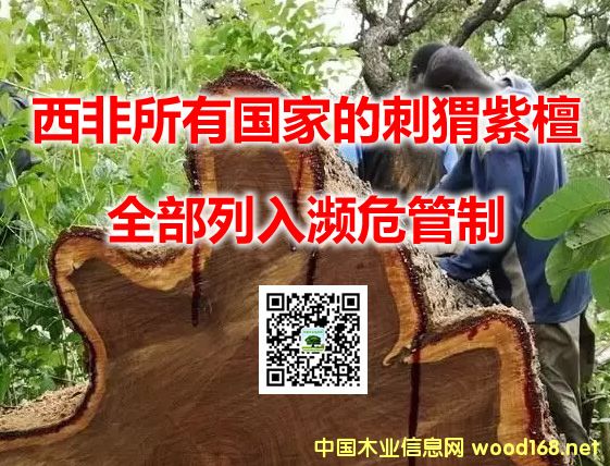 �������Ї��ҵĴ����̴ȫ������lΣ����