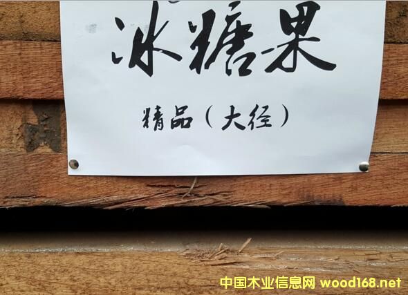 ���²�-���ǹ����