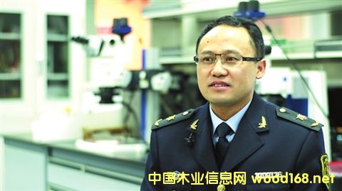 ���Ҹ�ľ���b�����|����ľ���b�����g(sh��)����(w��)�����(hu��)