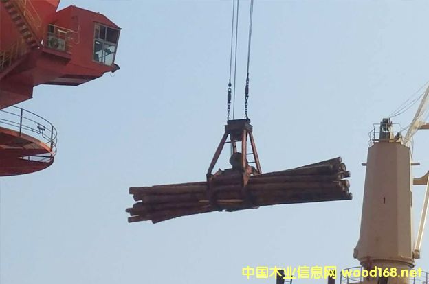 ���ҿڸ�ľ�Įa(ch��n)�I(y��)�@�����(xi��ng)Ŀ����M(j��n)չ