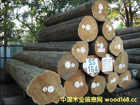 ��ľ�Ј�(ch��ng)���m(x��)�������M(j��n)�����������L(zh��ng)