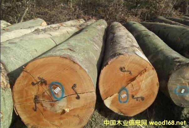 �W��ľ�ĺ��\(y��n)�M(f��i)�����������Ƿ�߀�и�(j��ng)����(y��u)��(sh��)��