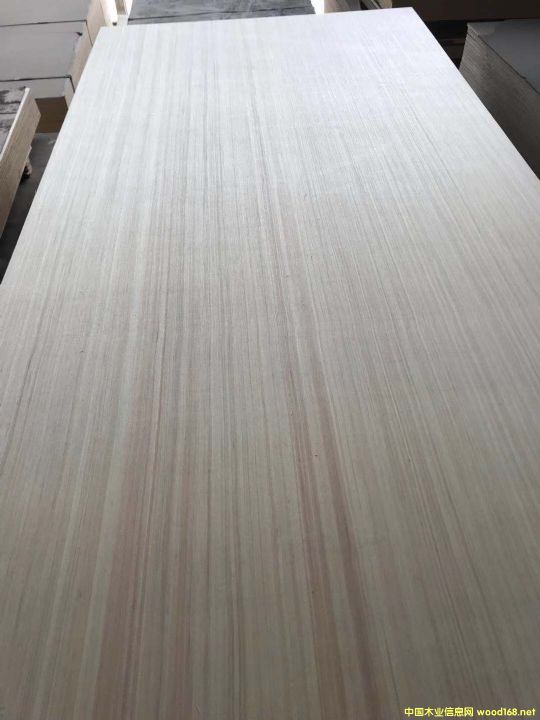 ɽ�|�z�ϰ�S�����谷���������