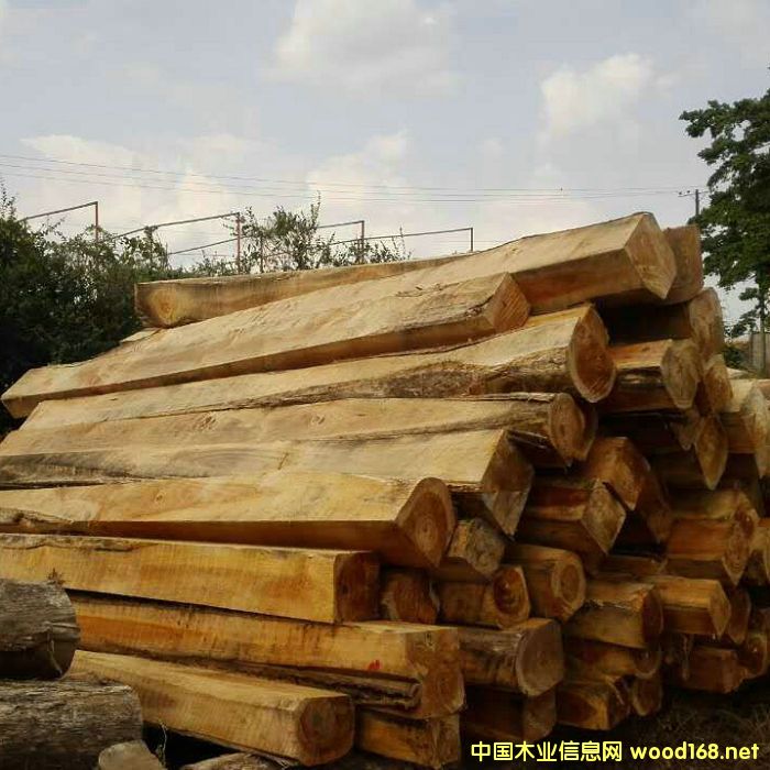 ������ľ��Ԕ��(x��)��B