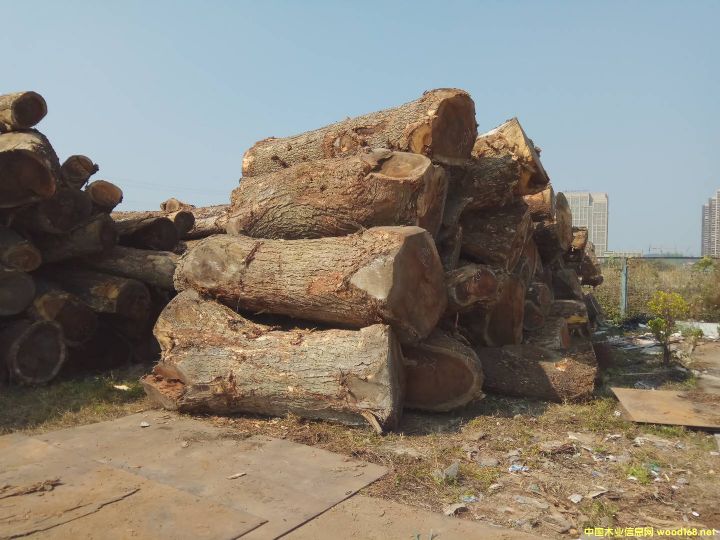 ������ľ��Ԕ��(x��)��B