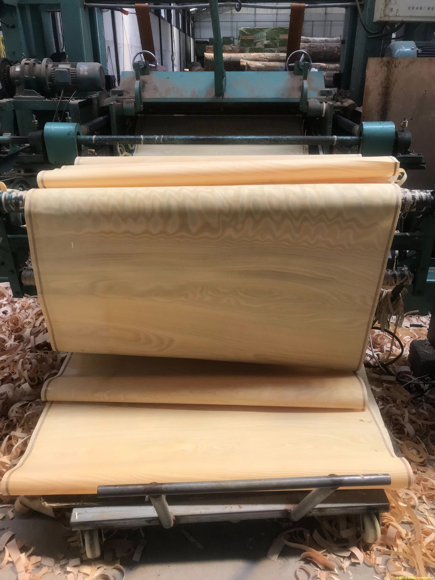 [��] ��ľ�ذ�ľƤ