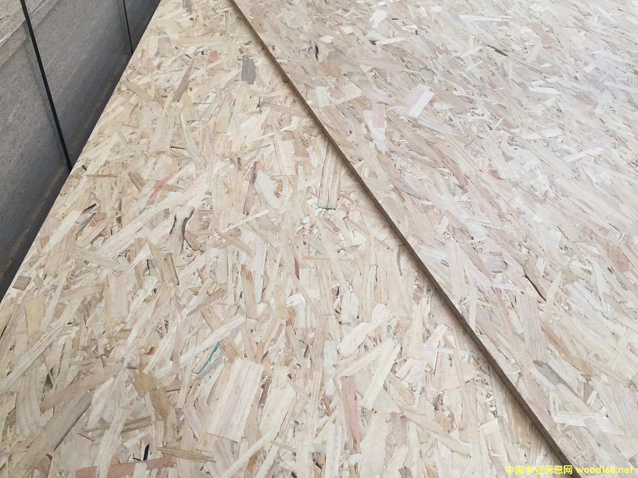 ALLFLYȫ��ľ�o(w��)ȩ��(j��)OSB