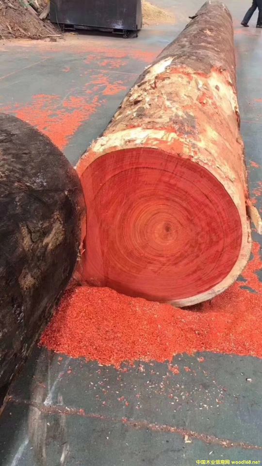 �t������������̴��Ԕ��(x��)��B