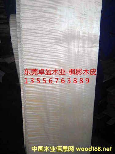 ��ӰľƤ��10�z��20�z��30�z����Ԕ��(x��)��B