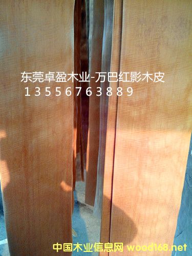 �tӰľƤ10�z��20�z��30�z��Ԕ��(x��)��B