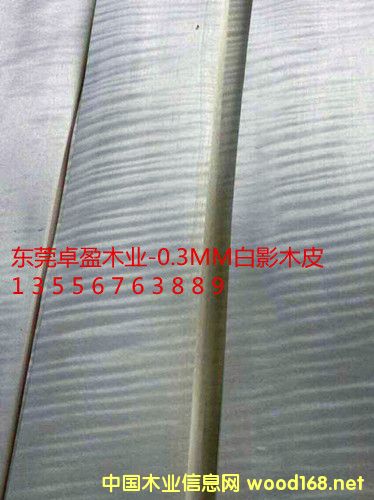 0.3��ӰľƤ����ӰľƤ�����Ԕ��(x��)��B