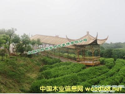 �c���鿴���L��1�Ŵ�DƬ