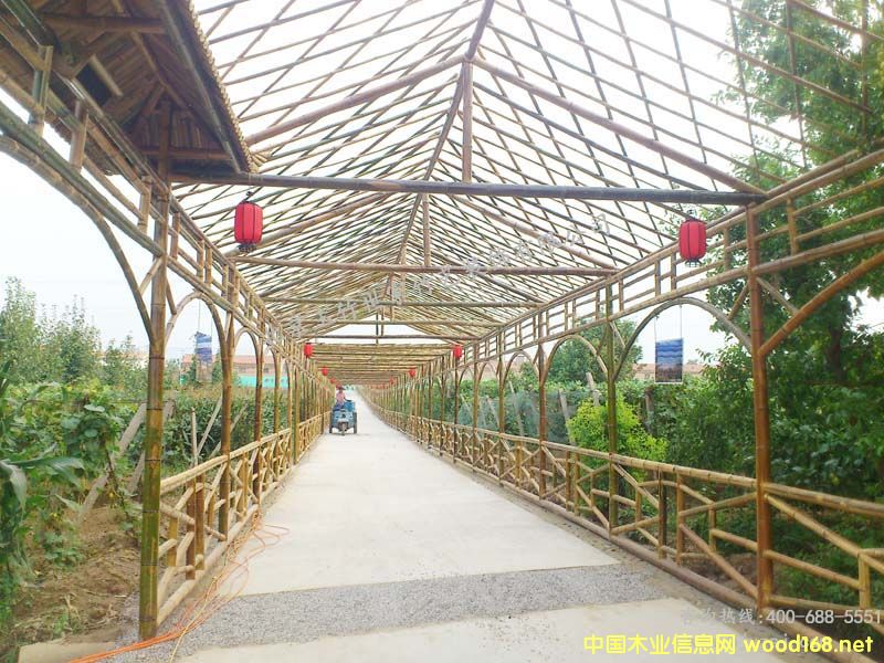 �c���鿴�񻨼ܷŴ�DƬ