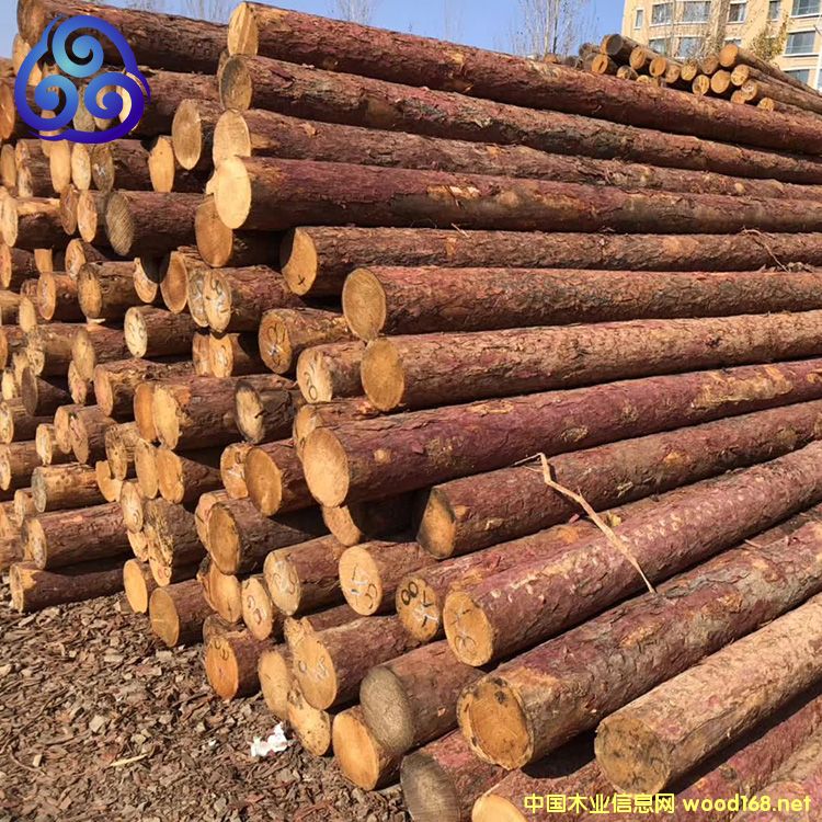 ���~���S���ə_�lľ����Ԕ��(x��)��B