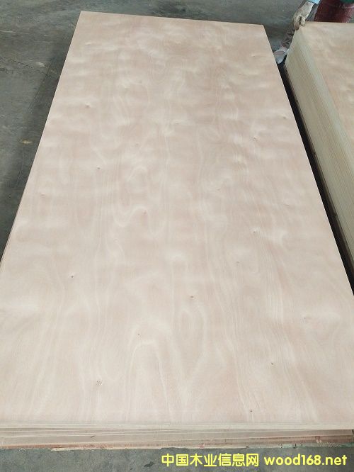 [��] ���Ӱ�