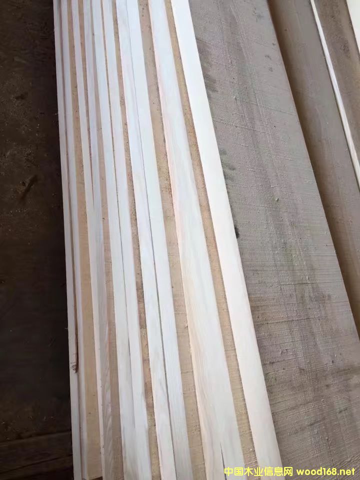 ����(gu��)��(y��u)�|(zh��)��Ϟ?z��i)?><br>
                      <font size=3><b>����(gu��)��(y��u)�|(zh��)��Ϟ?z��i)?/b></font></a></div>
                  </td>
                </tr>
                 
                <tr> 
                  
                <td height=