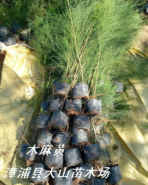 ľ���S���Ԕ����B