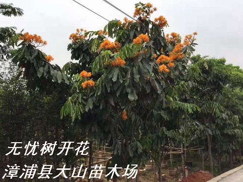 �o�n��o�n����Ԕ����B