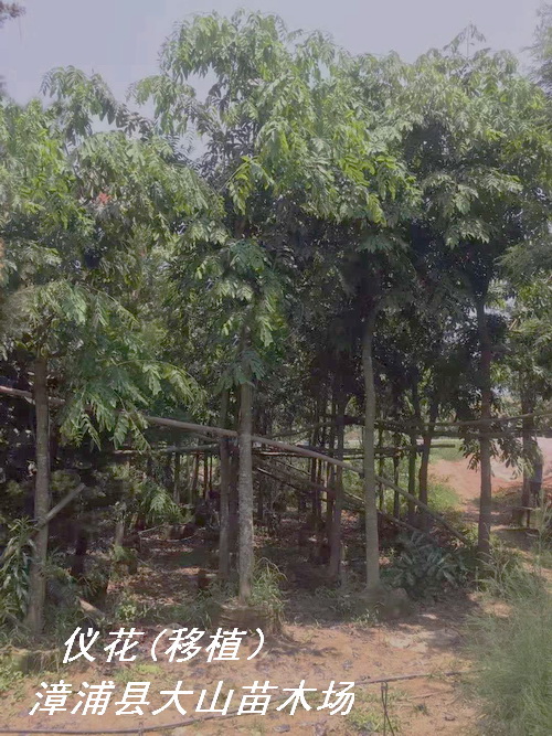 �x������ֲ�������Ԕ����B