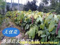 �o�n�������