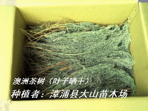 ���޲���~����ȡ����ԭ�ϵ�Ԕ����B