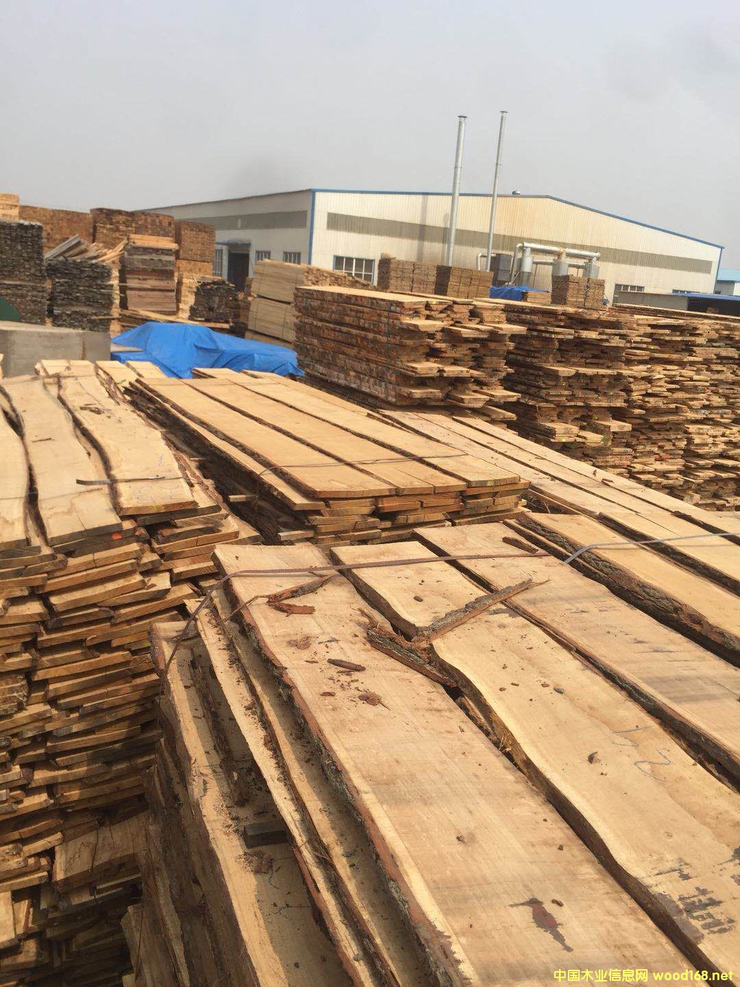 [��] �������ɰ��