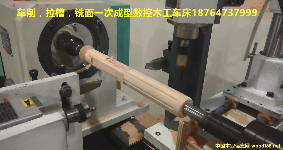 ܇���������ȫ�Ԅ�ľ��܇��