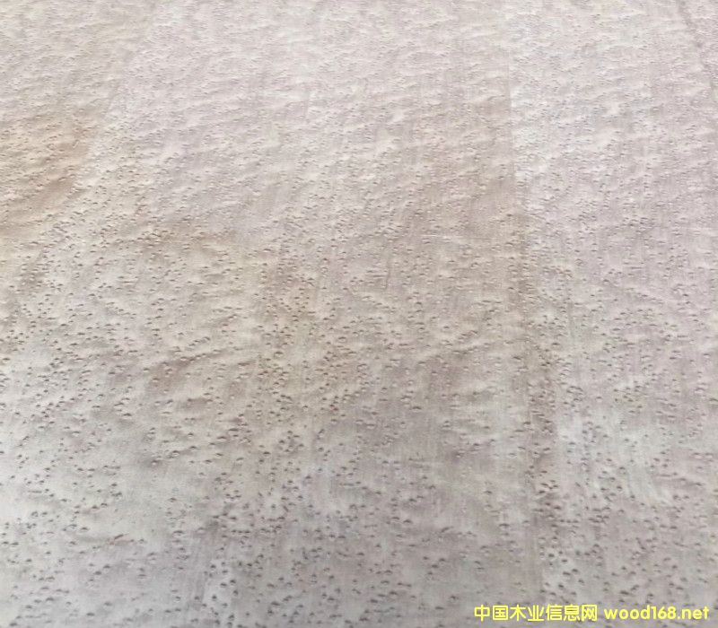 [��] ����ľ�I(y��)���匣��  ��Ȼ��ľȸ��ľ�������Ƶ��bC(j��)��