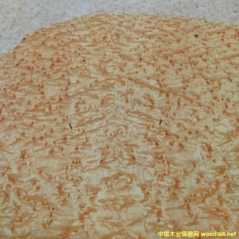 [��] ����ľ�I(y��)���匣��  ��Ȼ��ľȸ��ľ���壬�Ƶ��bC(j��)��