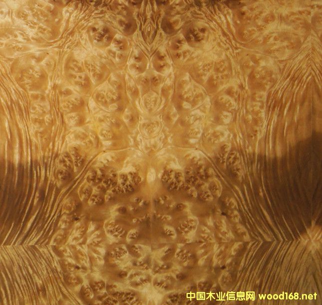  ��Ȼɽ�������ľ�����Ԕ��(x��)��B